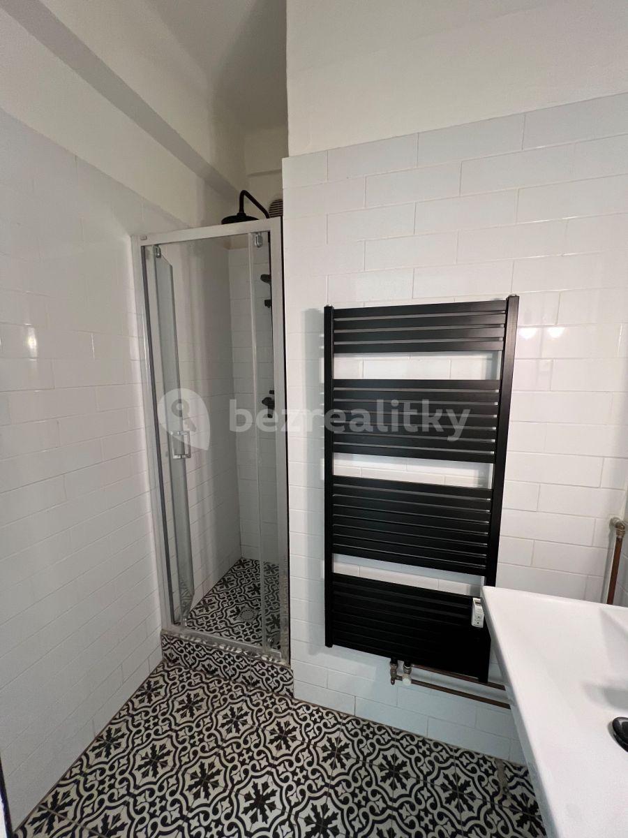 1 bedroom with open-plan kitchen flat to rent, 70 m², Klimentská, Prague, Prague