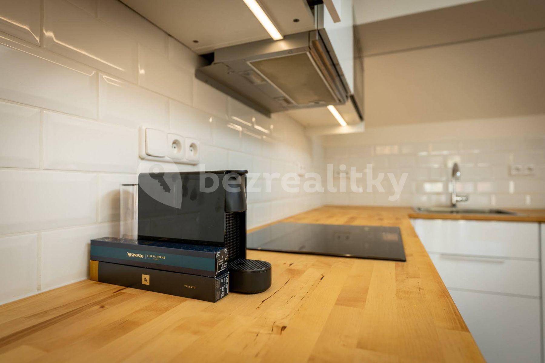 1 bedroom with open-plan kitchen flat to rent, 75 m², Karlova, Prague, Prague