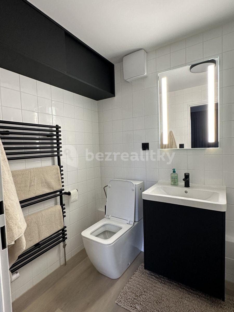 1 bedroom with open-plan kitchen flat to rent, 50 m², Novákových, Prague, Prague