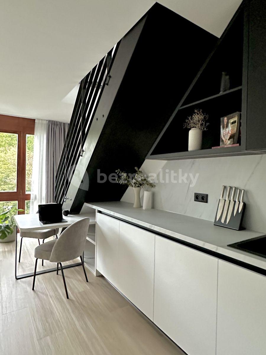 1 bedroom with open-plan kitchen flat to rent, 50 m², Novákových, Prague, Prague