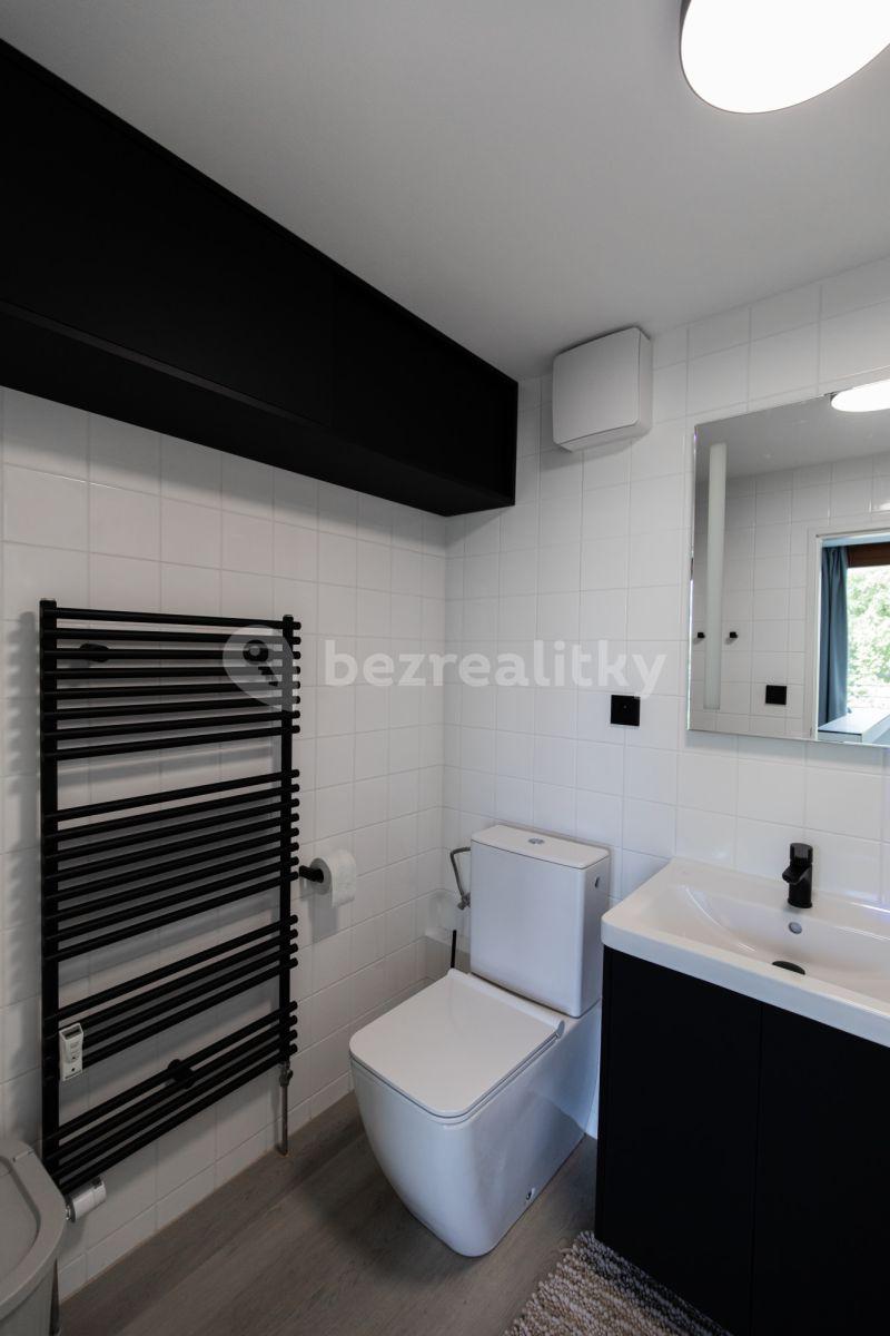 1 bedroom with open-plan kitchen flat to rent, 50 m², Novákových, Prague, Prague