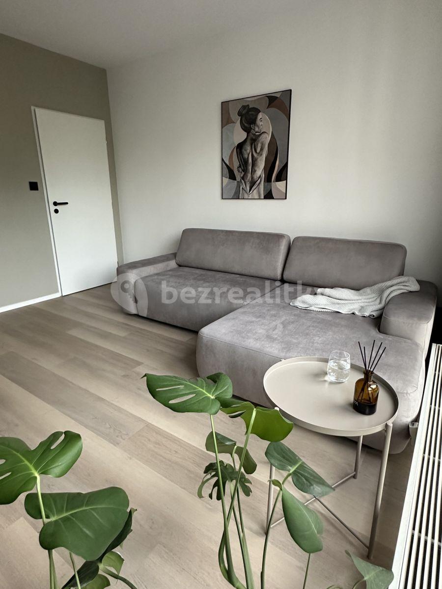 1 bedroom with open-plan kitchen flat to rent, 50 m², Novákových, Prague, Prague