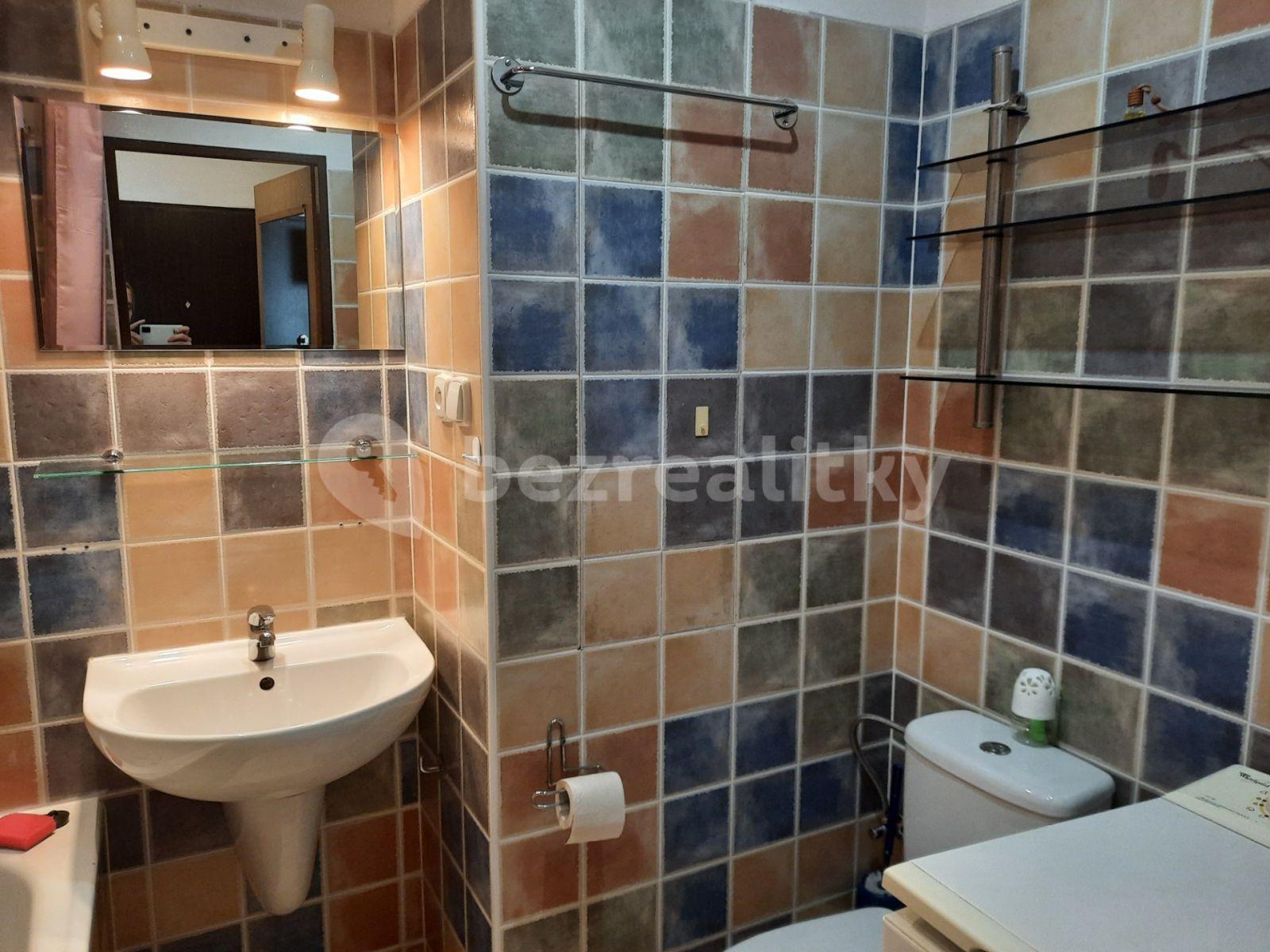 Studio flat to rent, 27 m², Dubrovnická, Prague, Prague