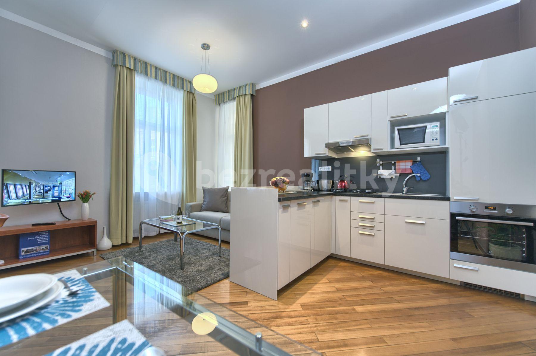 Studio flat to rent, 46 m², Masná, Prague, Prague