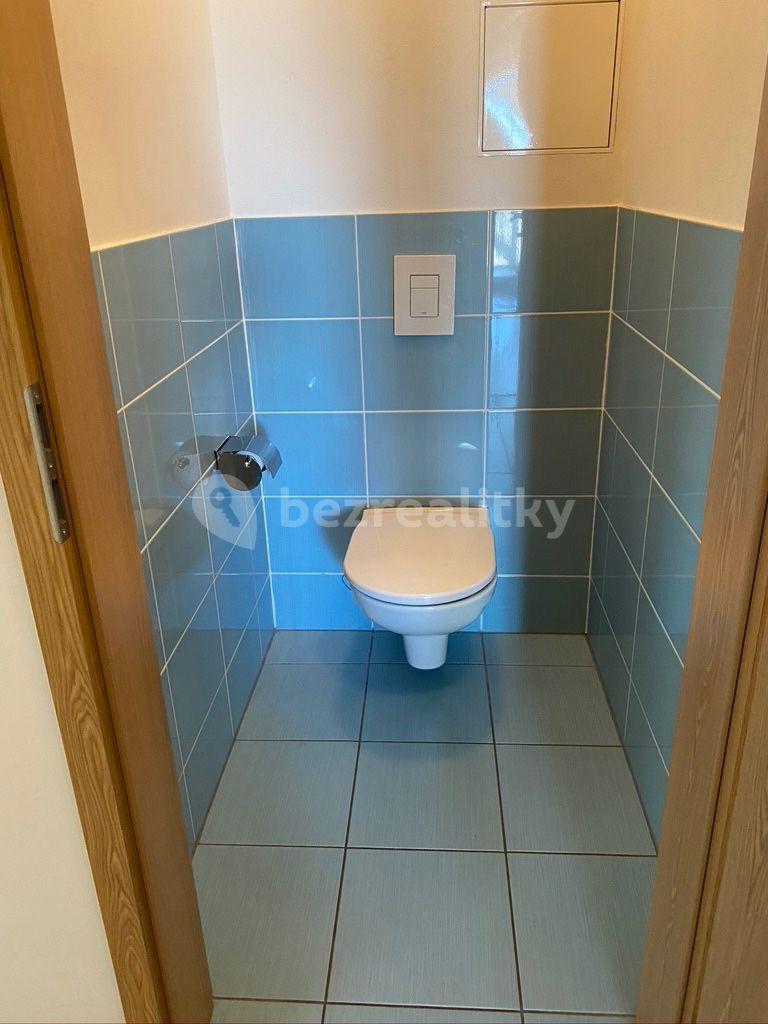 1 bedroom with open-plan kitchen flat for sale, 56 m², V Dolině, Prague, Prague