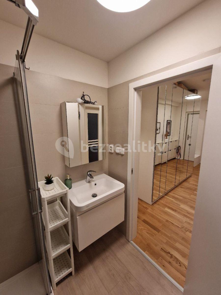 1 bedroom with open-plan kitchen flat to rent, 55 m², Chlumčanského, Prague, Prague