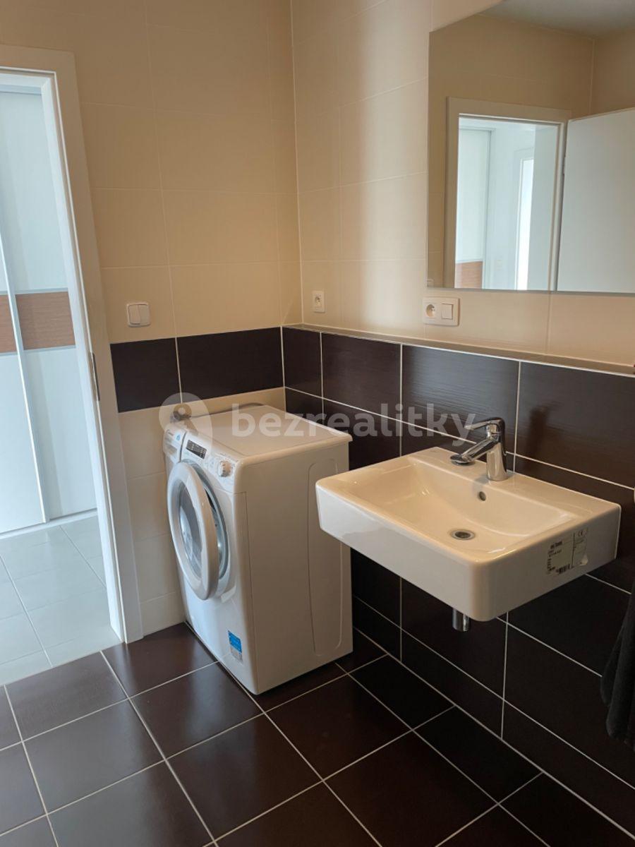 Studio flat to rent, 46 m², V Lukách, Prague, Prague