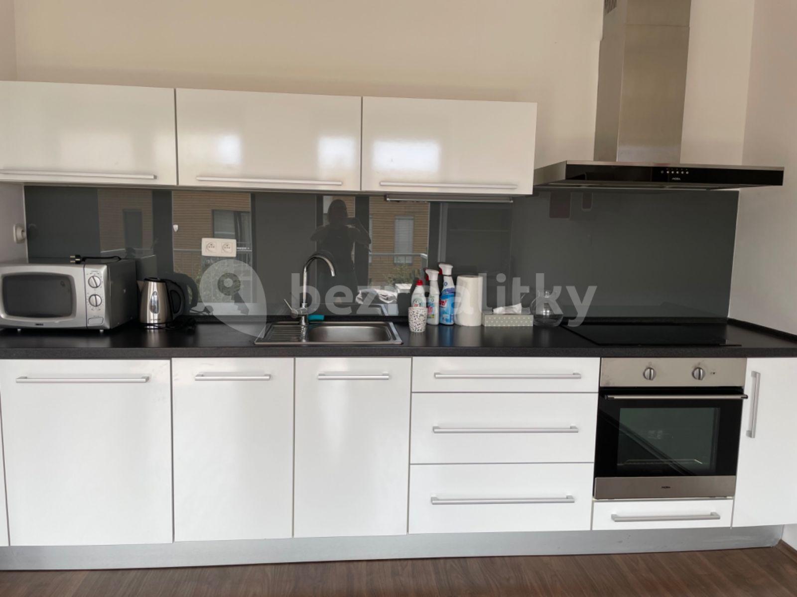 Studio flat to rent, 46 m², V Lukách, Prague, Prague