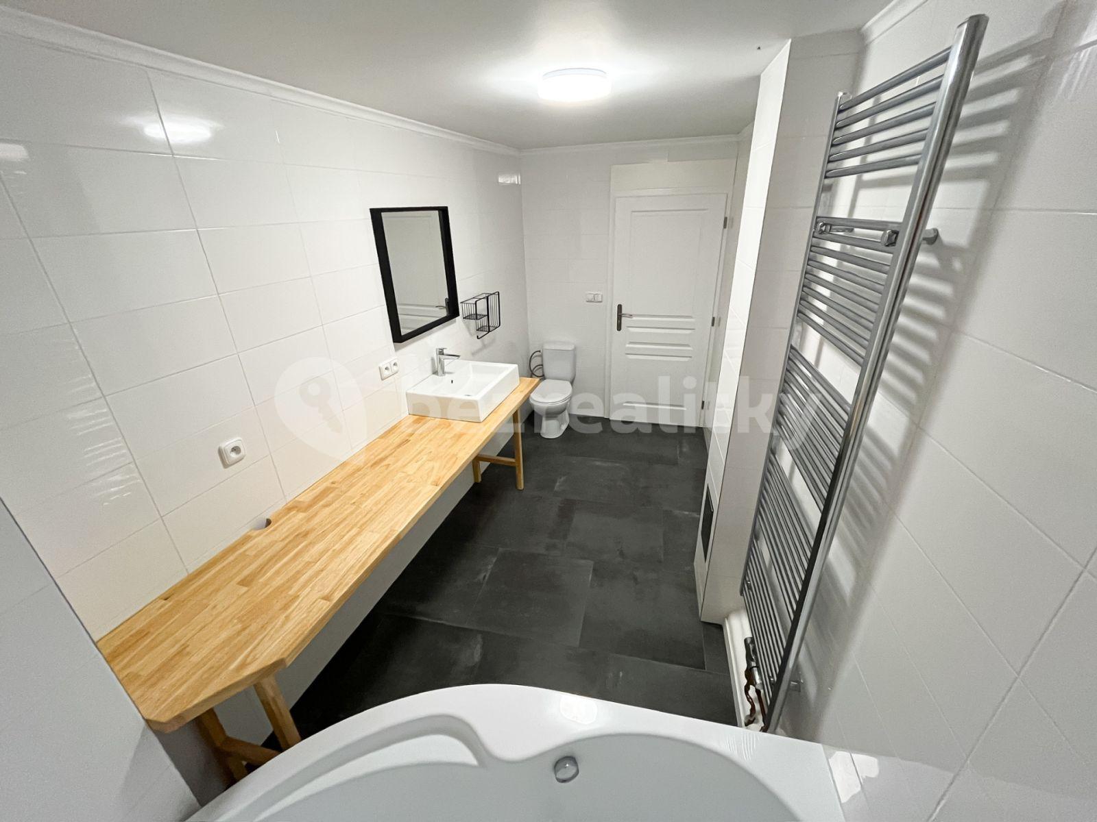 2 bedroom with open-plan kitchen flat to rent, 86 m², Pod Hradištěm, Týnec nad Sázavou, Středočeský Region