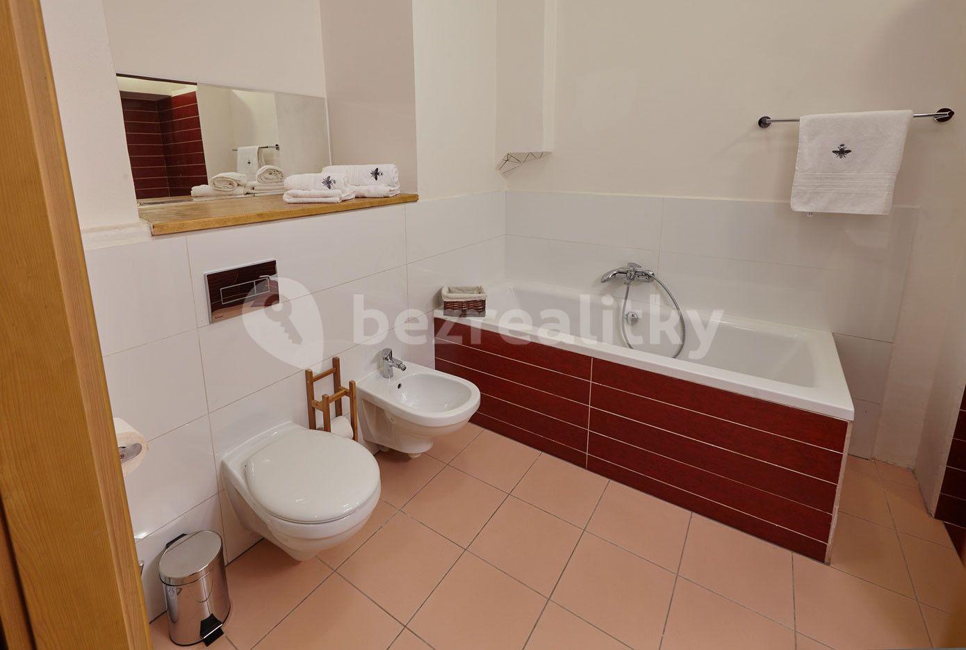 1 bedroom with open-plan kitchen flat to rent, 46 m², Míšeňská, Prague, Prague