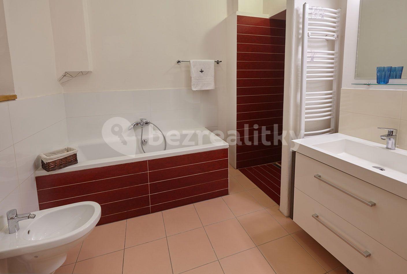 1 bedroom with open-plan kitchen flat to rent, 46 m², Míšeňská, Prague, Prague