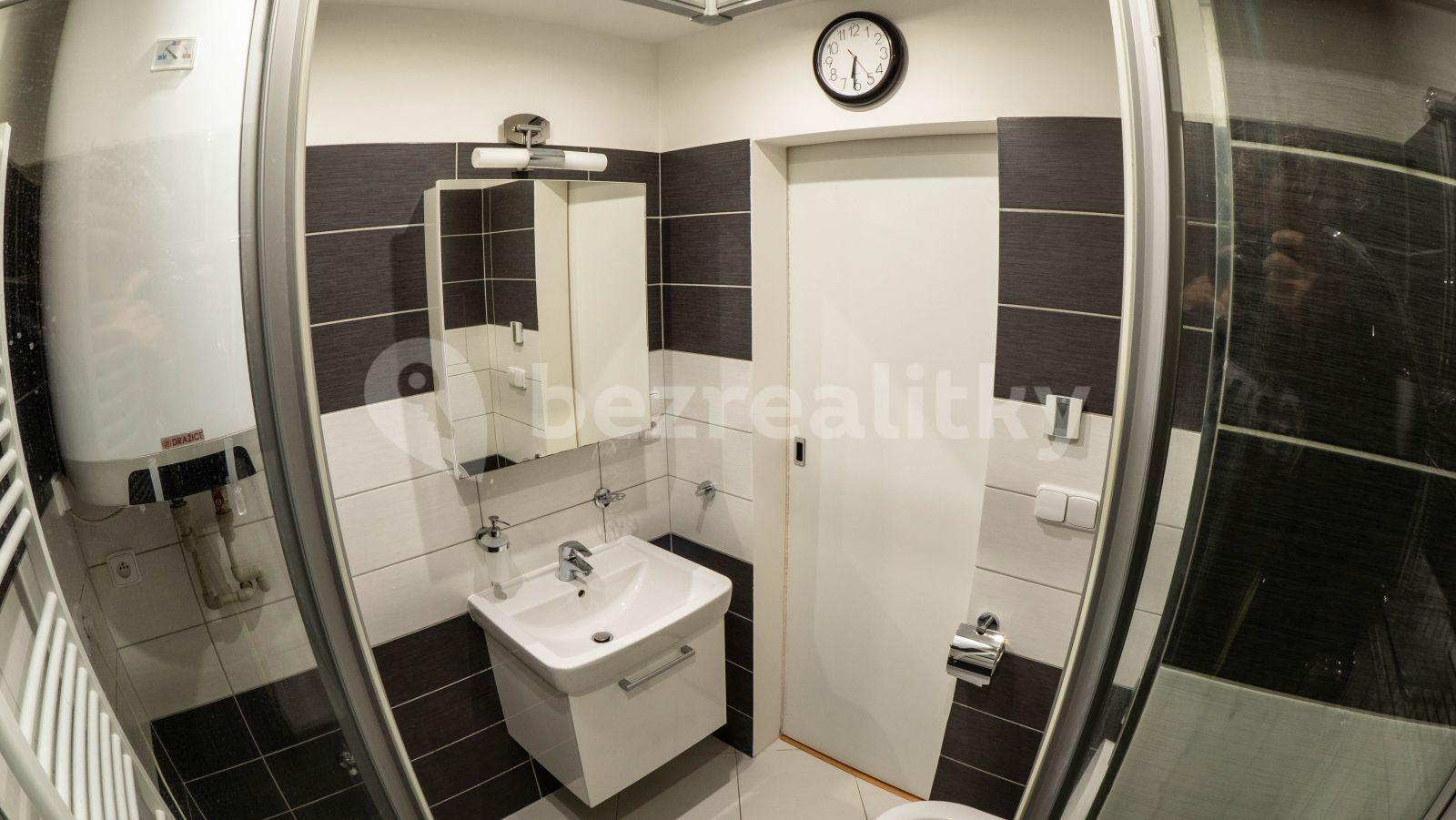 1 bedroom with open-plan kitchen flat for sale, 53 m², Na Rybárně, Hradec Králové, Královéhradecký Region