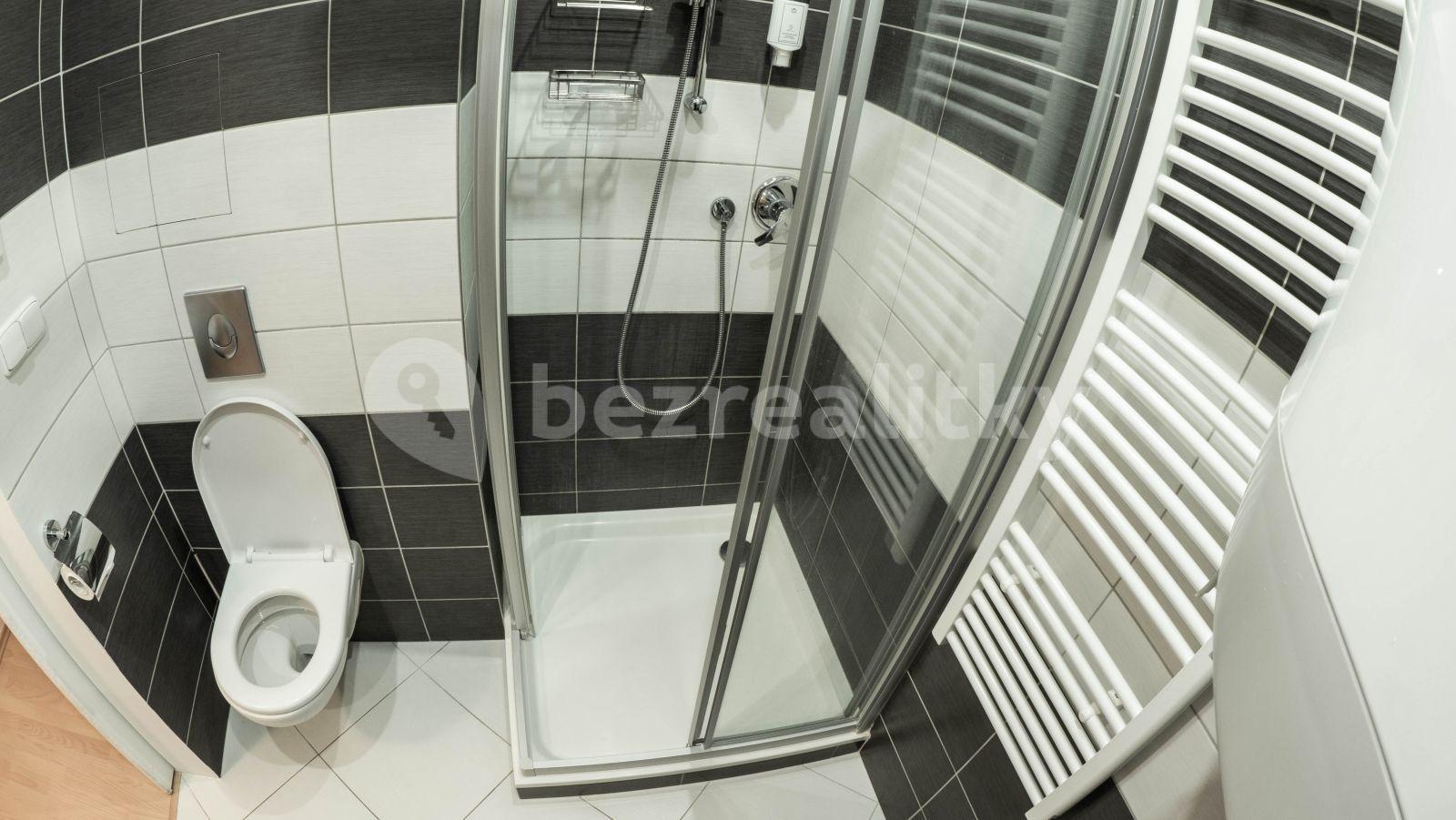 1 bedroom with open-plan kitchen flat for sale, 53 m², Na Rybárně, Hradec Králové, Královéhradecký Region