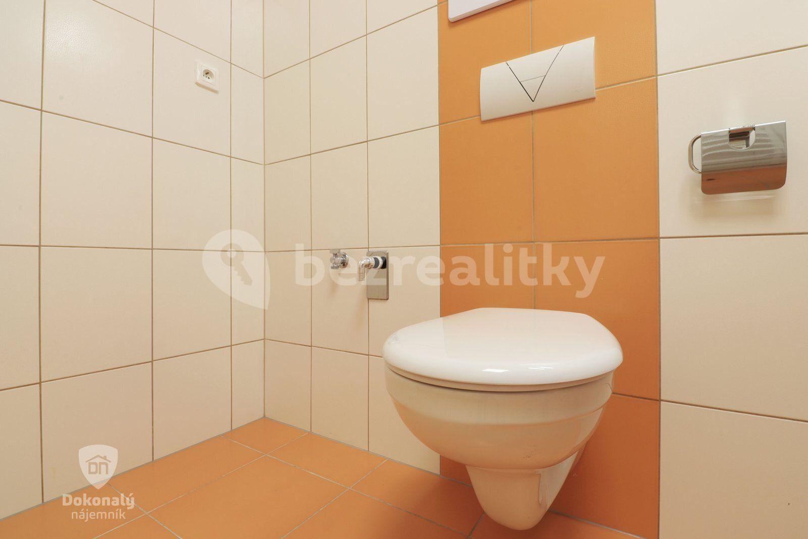 Studio flat to rent, 49 m², Guldenerova, Plzeň, Plzeňský Region