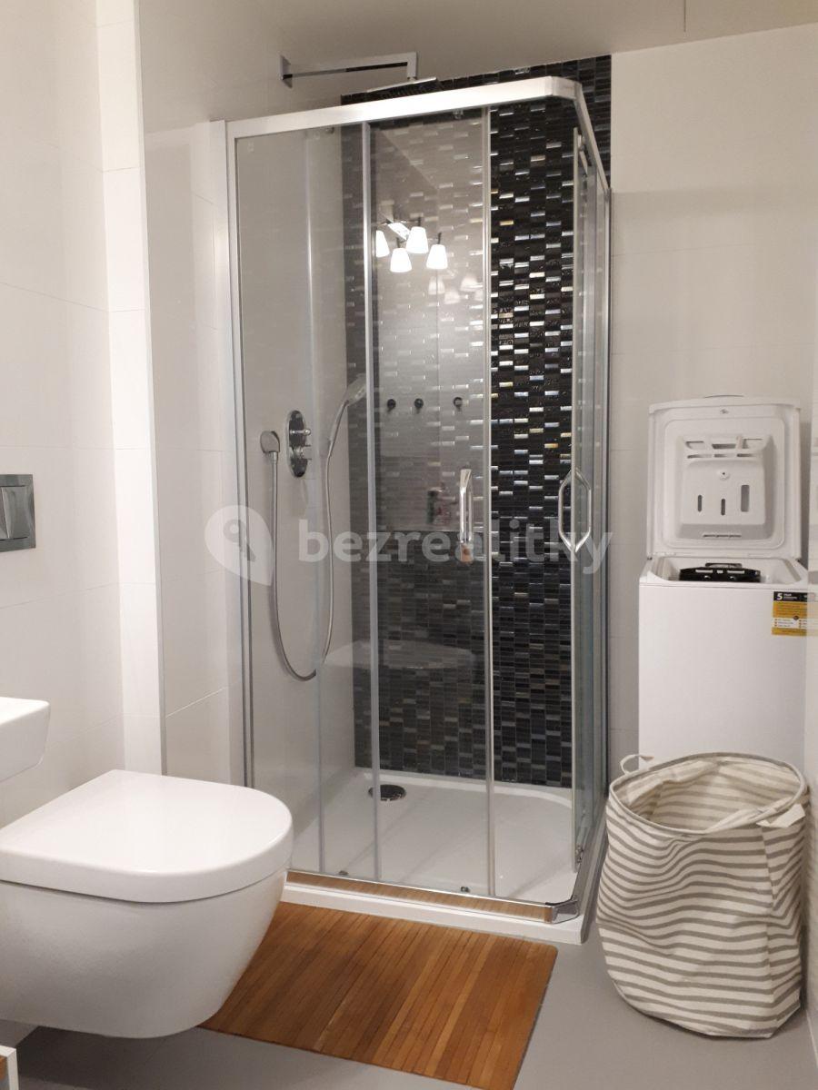 Studio flat to rent, 30 m², Ondříčkova, Prague, Prague