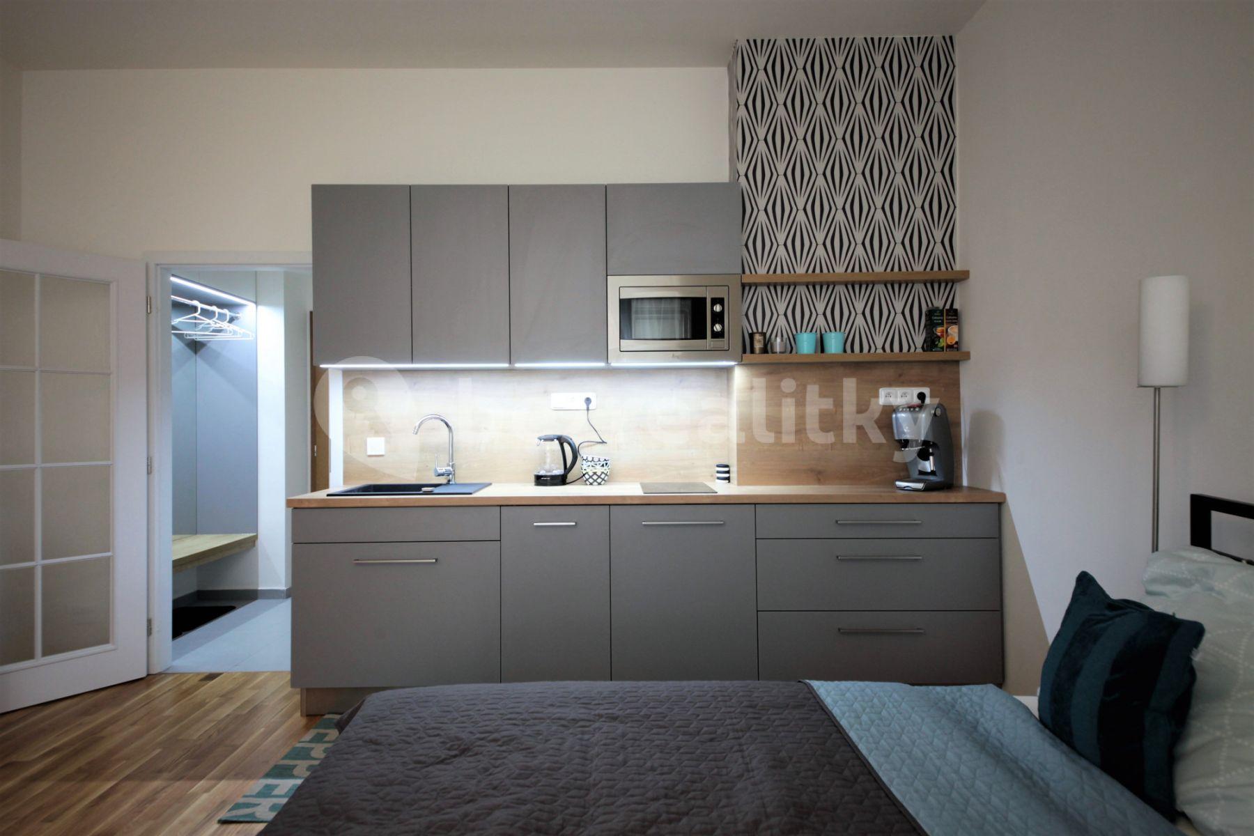 Studio flat to rent, 30 m², Ondříčkova, Prague, Prague