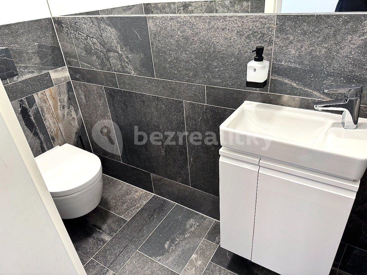 3 bedroom with open-plan kitchen flat for sale, 153 m², Smrčkova, Prague, Prague