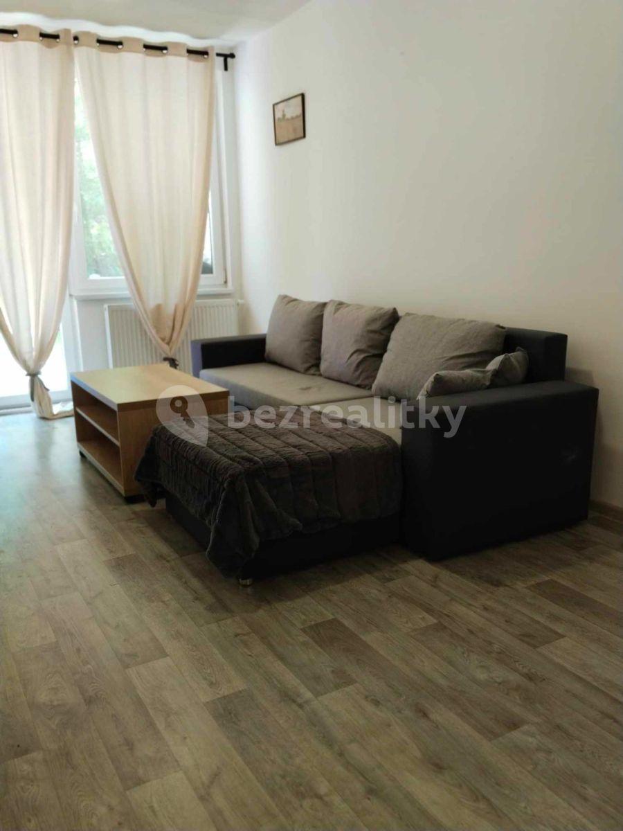 1 bedroom with open-plan kitchen flat to rent, 42 m², Všemina, Zlínský Region