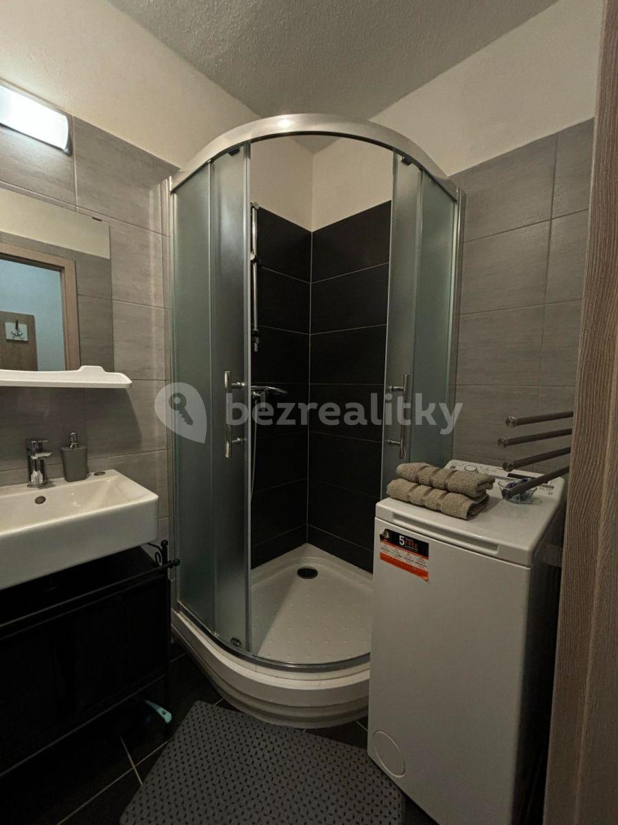 1 bedroom with open-plan kitchen flat to rent, 42 m², Všemina, Zlínský Region