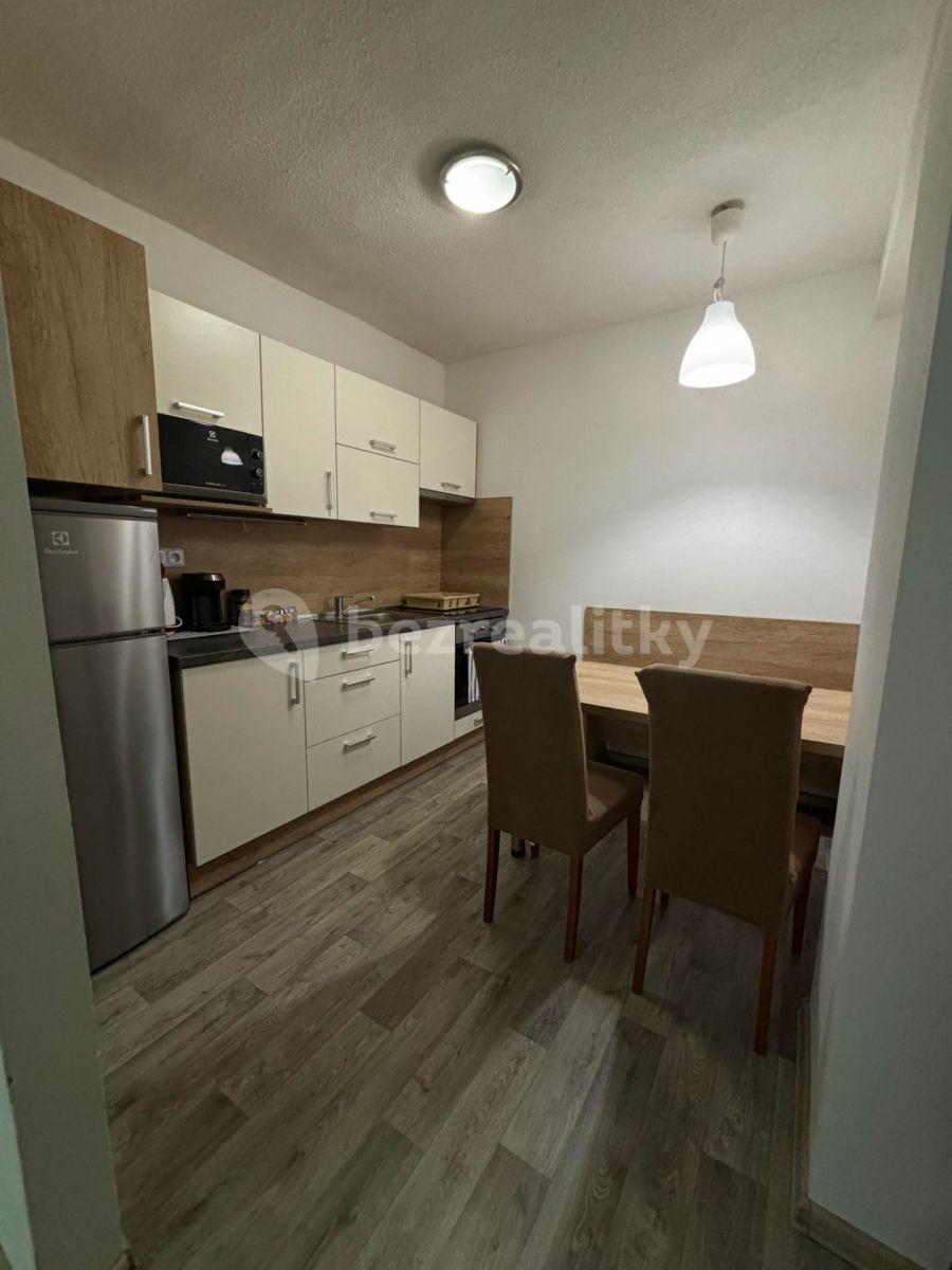 1 bedroom with open-plan kitchen flat to rent, 42 m², Všemina, Zlínský Region