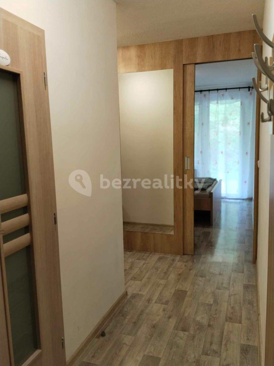 1 bedroom with open-plan kitchen flat to rent, 42 m², Všemina, Zlínský Region