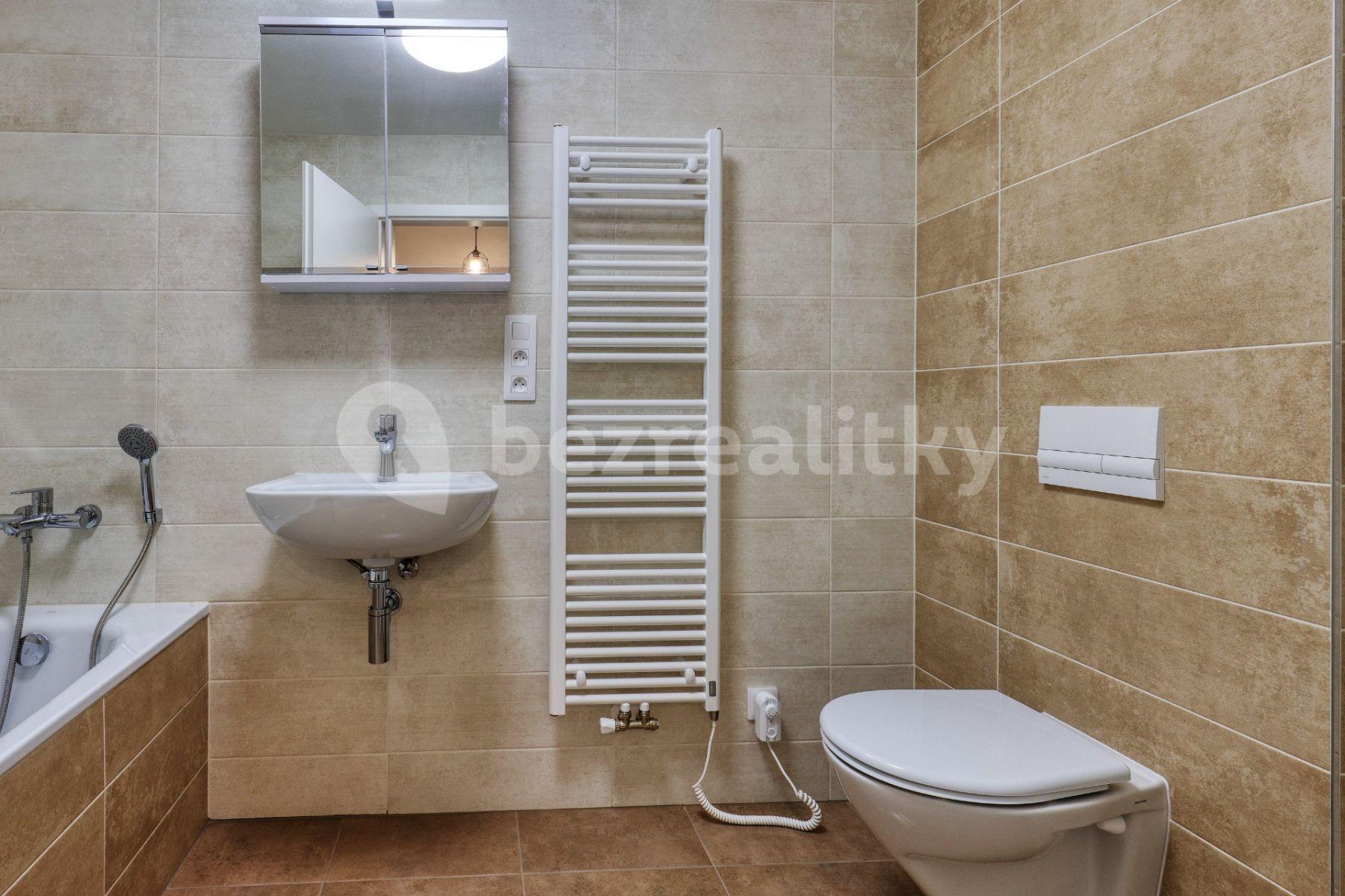 1 bedroom with open-plan kitchen flat to rent, 48 m², Řičákova, Přeštice, Plzeňský Region