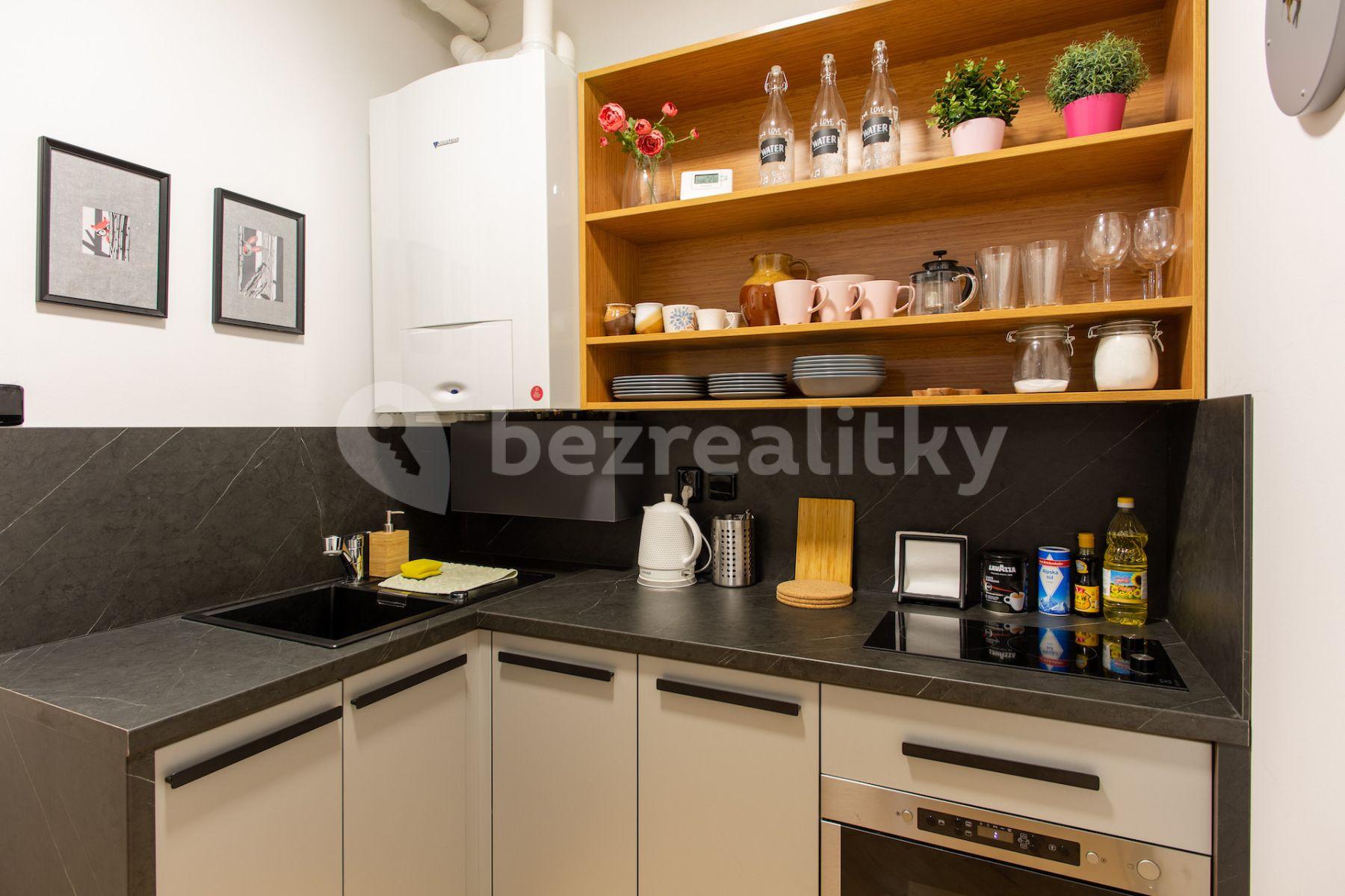 2 bedroom with open-plan kitchen flat to rent, 90 m², Blanická, Prague, Prague