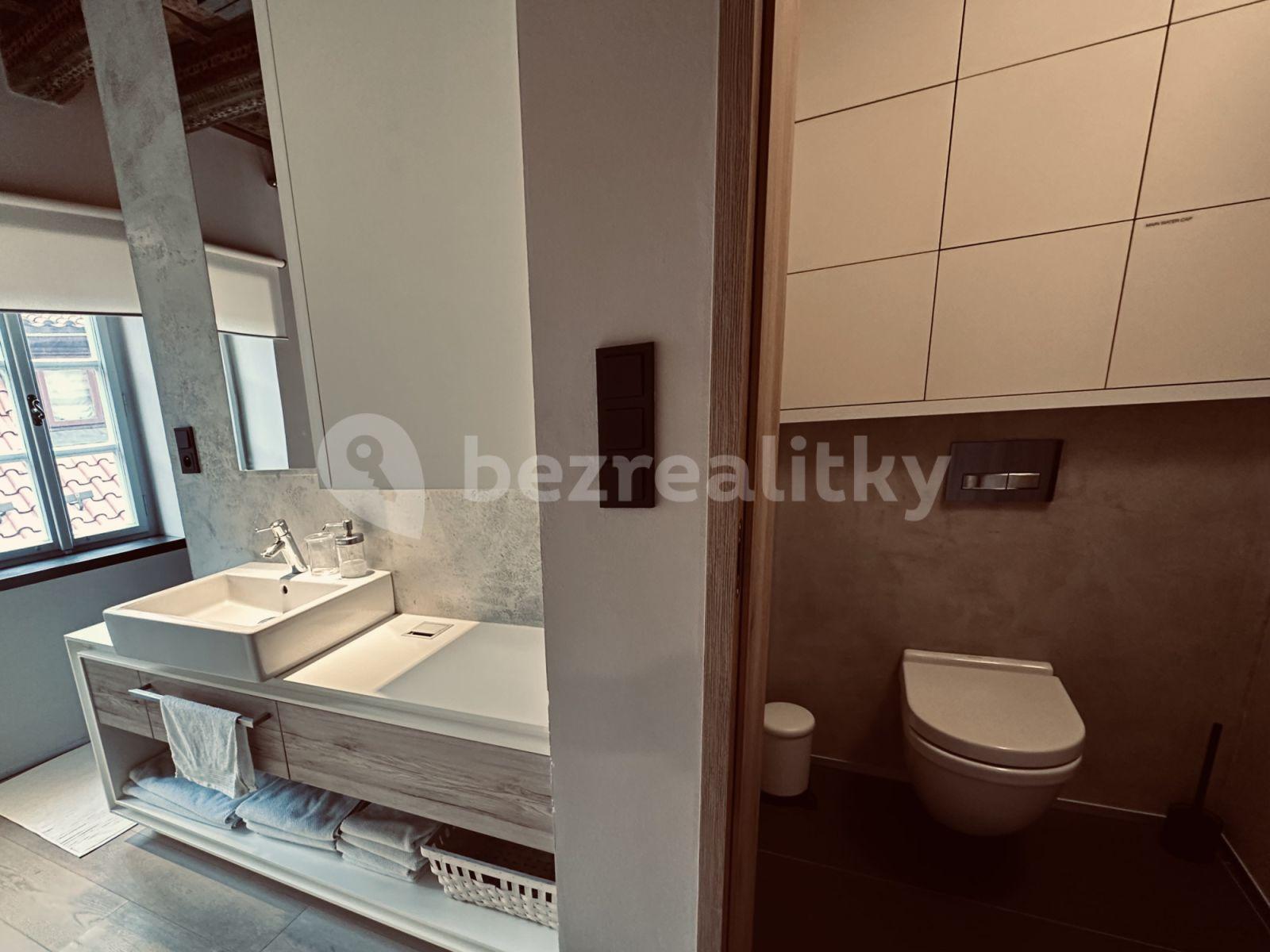 1 bedroom with open-plan kitchen flat to rent, 45 m², Vlašská, Prague, Prague