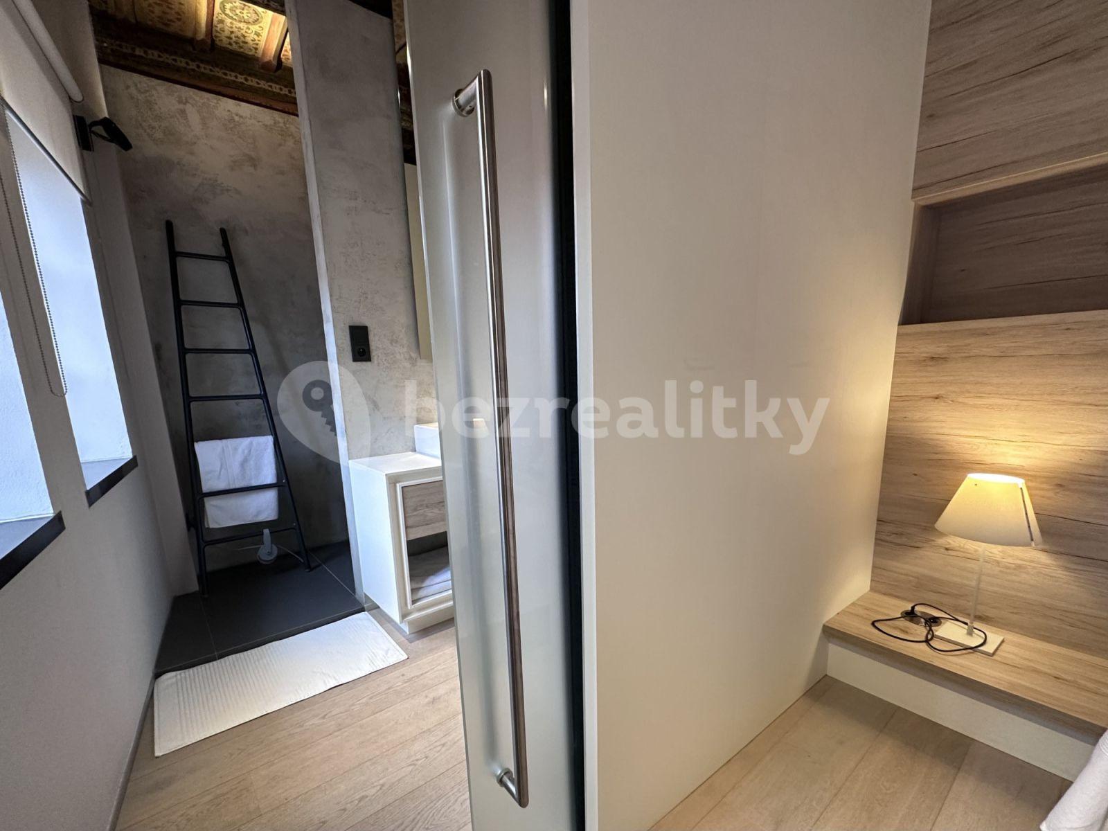 1 bedroom with open-plan kitchen flat to rent, 45 m², Vlašská, Prague, Prague