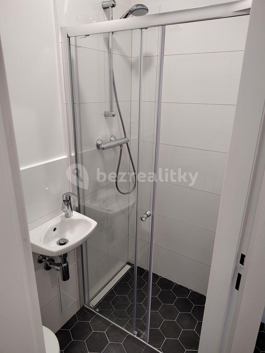 1 bedroom with open-plan kitchen flat to rent, 35 m², Polská, Prague, Prague