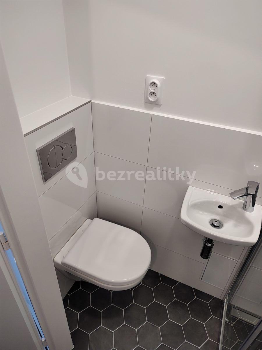 1 bedroom with open-plan kitchen flat to rent, 35 m², Polská, Prague, Prague