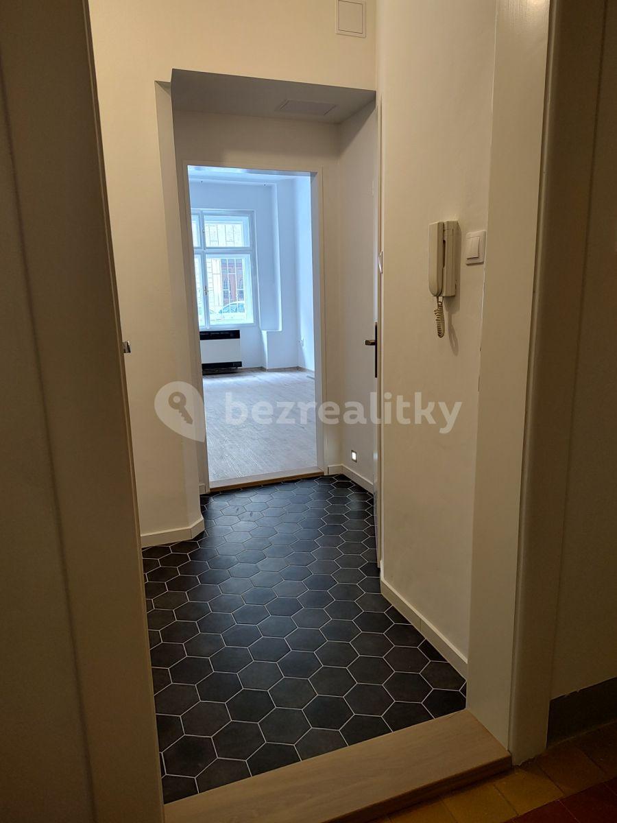 1 bedroom with open-plan kitchen flat to rent, 35 m², Polská, Prague, Prague