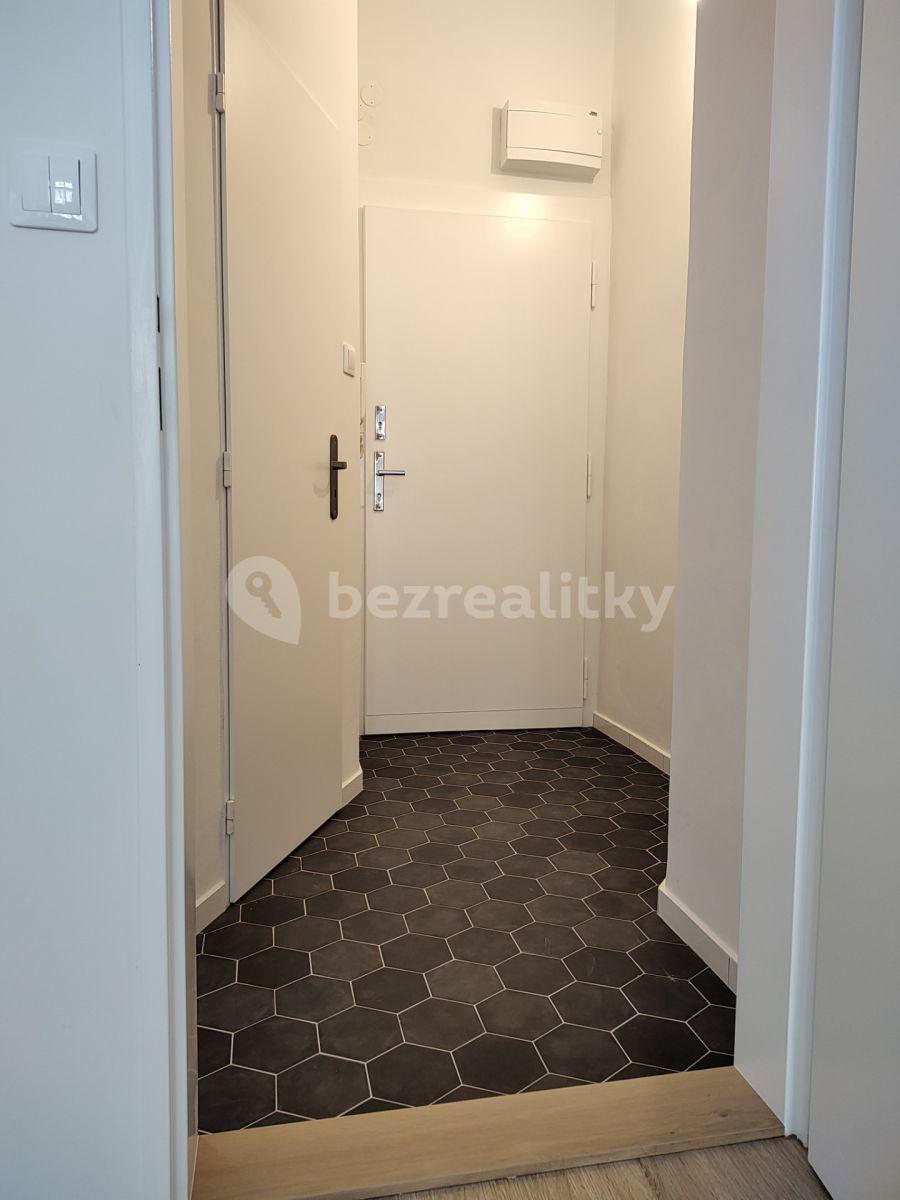 1 bedroom with open-plan kitchen flat to rent, 35 m², Polská, Prague, Prague