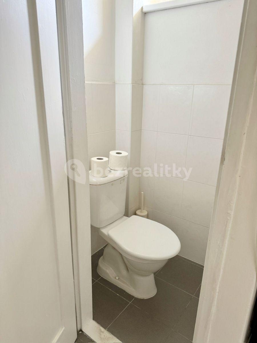 Studio flat to rent, 26 m², U Vinohradské nemocnice, Prague, Prague