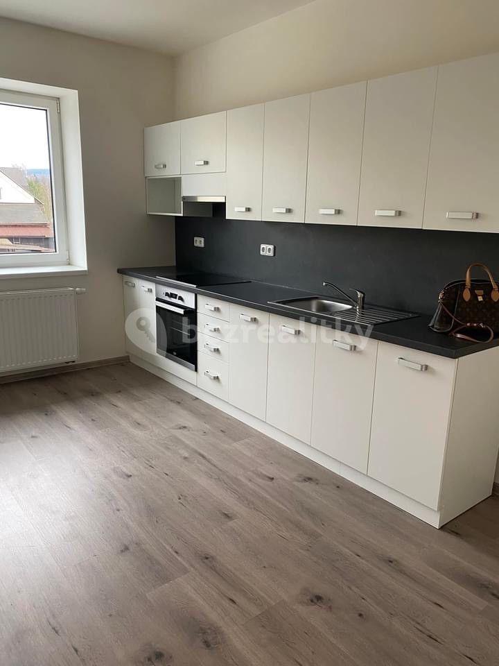 1 bedroom with open-plan kitchen flat to rent, 35 m², Strašice, Plzeňský Region