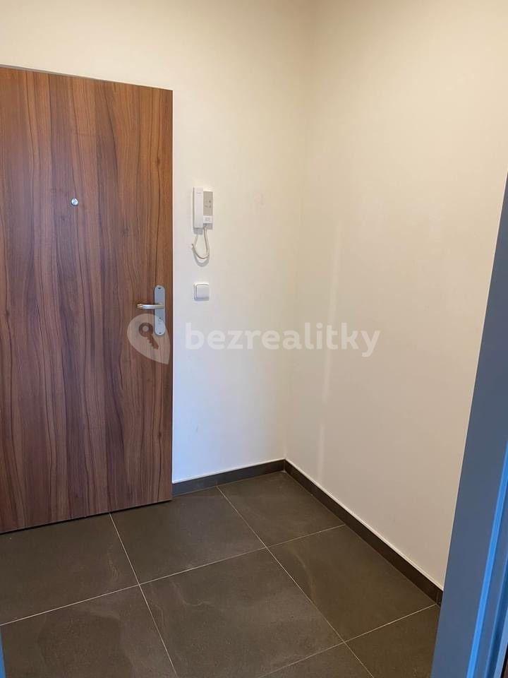 1 bedroom with open-plan kitchen flat to rent, 35 m², Strašice, Plzeňský Region