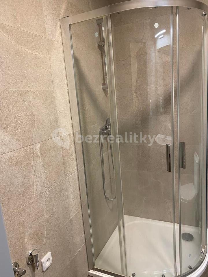 1 bedroom with open-plan kitchen flat to rent, 35 m², Strašice, Plzeňský Region