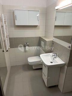 1 bedroom with open-plan kitchen flat to rent, 50 m², Pod Harfou, Prague, Prague