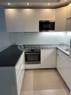 1 bedroom with open-plan kitchen flat to rent, 50 m², Pod Harfou, Prague, Prague