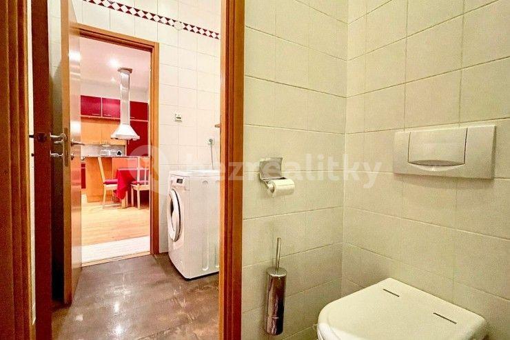 1 bedroom with open-plan kitchen flat to rent, 53 m², Letná Square, Prague, Prague