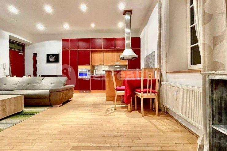 1 bedroom with open-plan kitchen flat to rent, 53 m², Letná Square, Prague, Prague