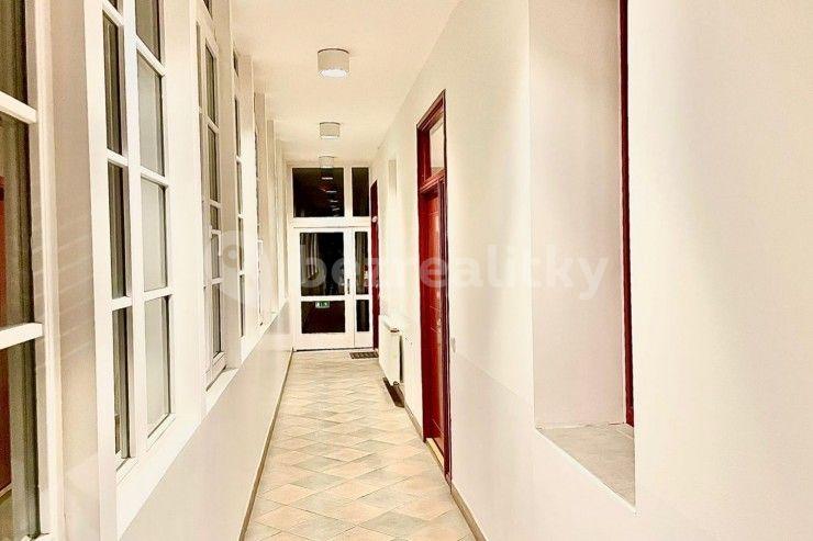 1 bedroom with open-plan kitchen flat to rent, 53 m², Letná Square, Prague, Prague