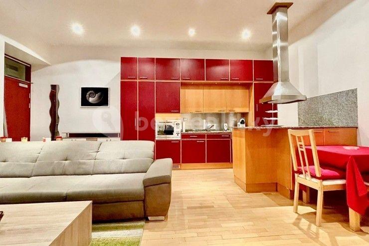 1 bedroom with open-plan kitchen flat to rent, 53 m², Letná Square, Prague, Prague