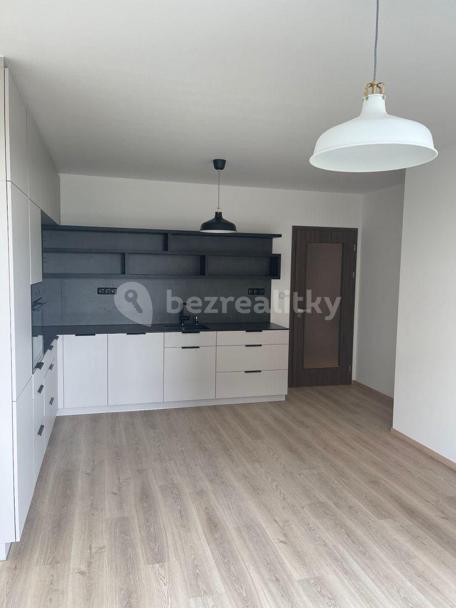 1 bedroom with open-plan kitchen flat to rent, 58 m², Stočesova, Prague, Prague