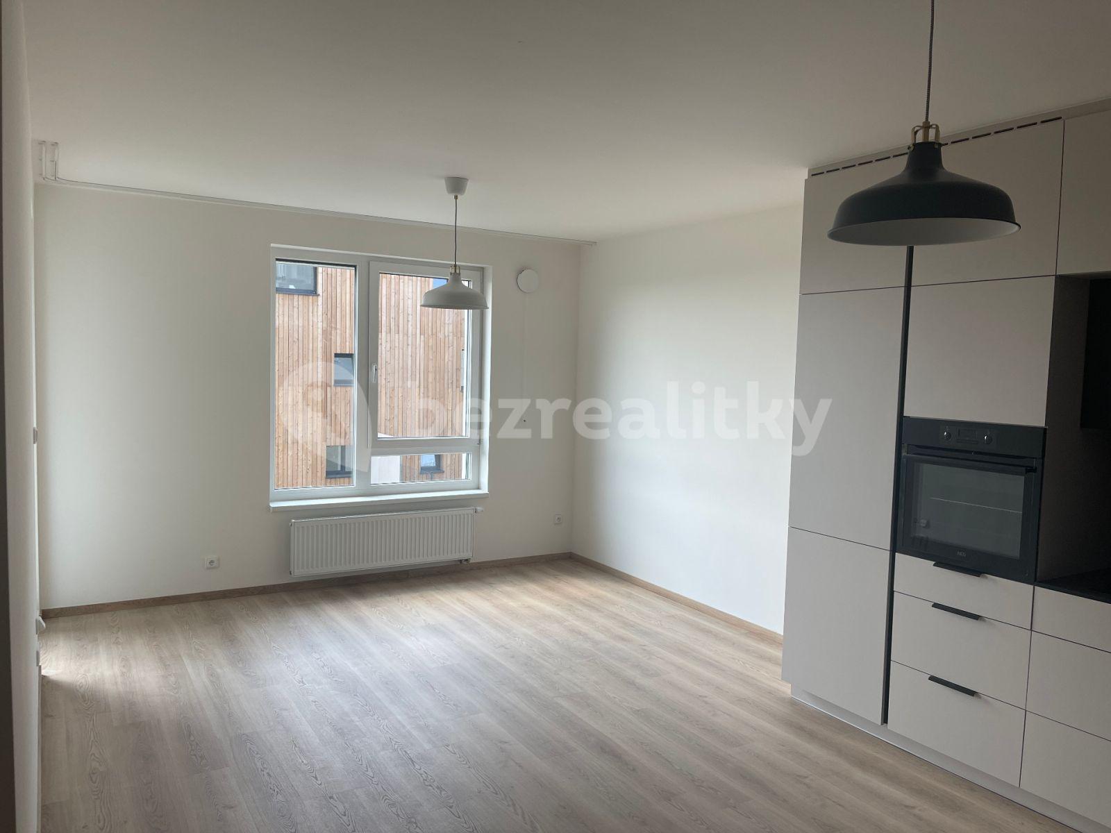 1 bedroom with open-plan kitchen flat to rent, 58 m², Stočesova, Prague, Prague