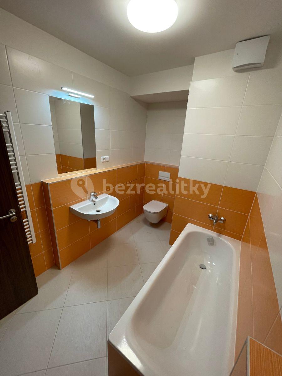 1 bedroom with open-plan kitchen flat to rent, 58 m², Stočesova, Prague, Prague