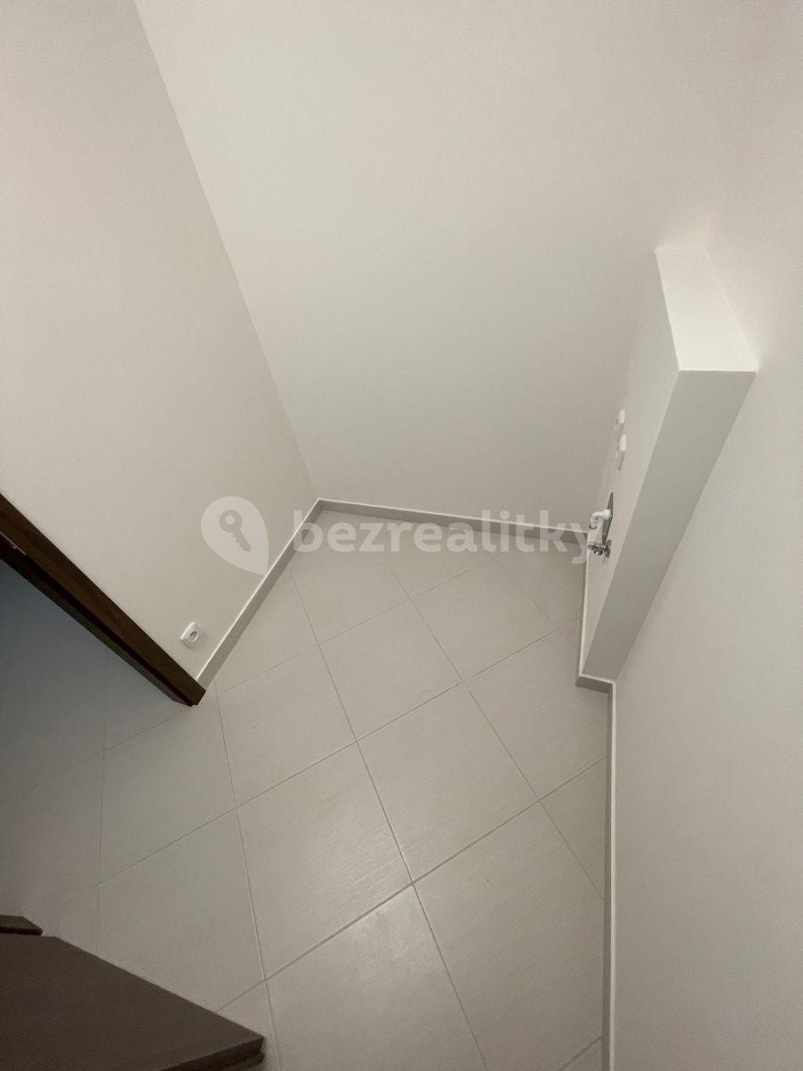 1 bedroom with open-plan kitchen flat to rent, 58 m², Stočesova, Prague, Prague