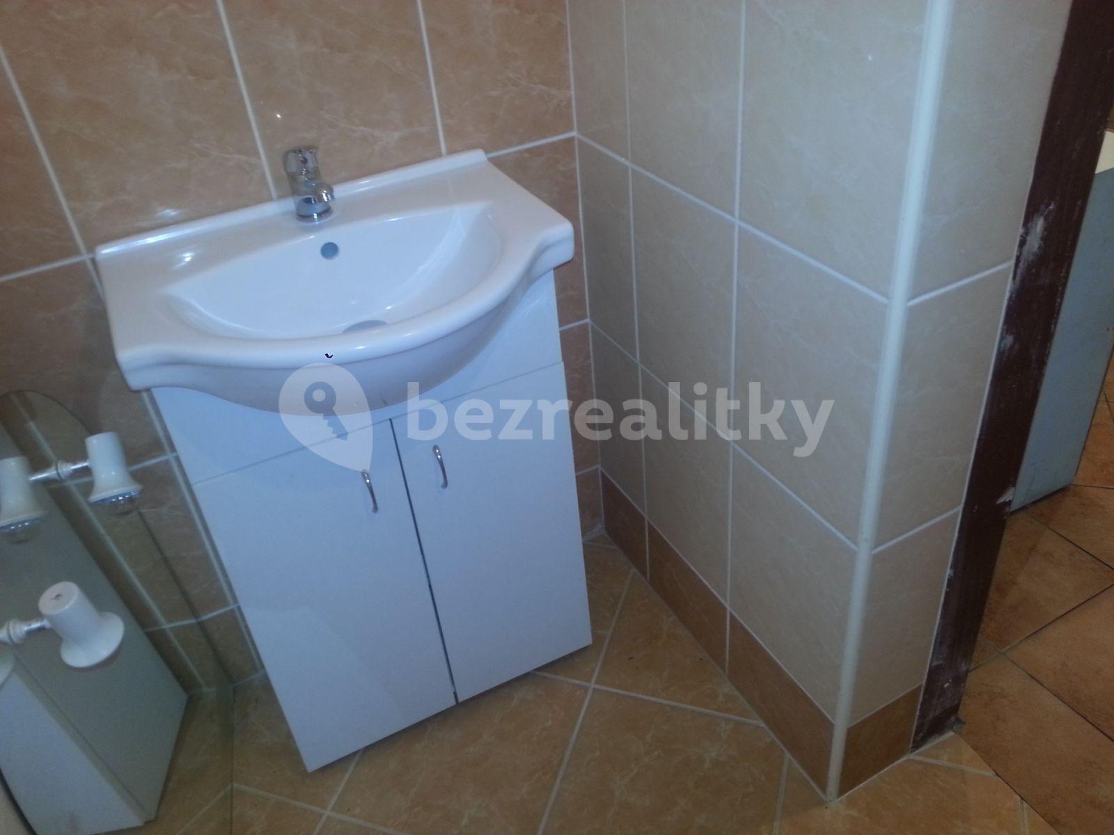 4 bedroom with open-plan kitchen flat to rent, 111 m², Do Klecánek, Klecany, Středočeský Region