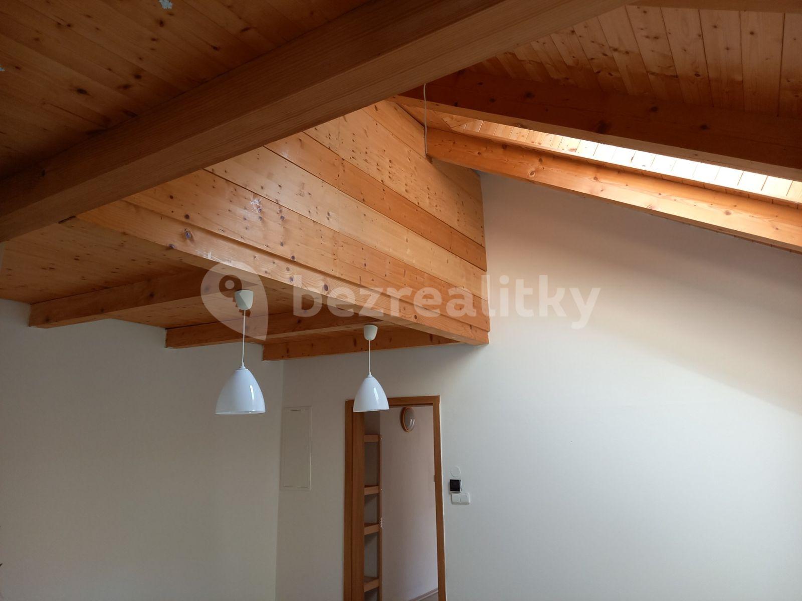 4 bedroom with open-plan kitchen flat to rent, 111 m², Do Klecánek, Klecany, Středočeský Region