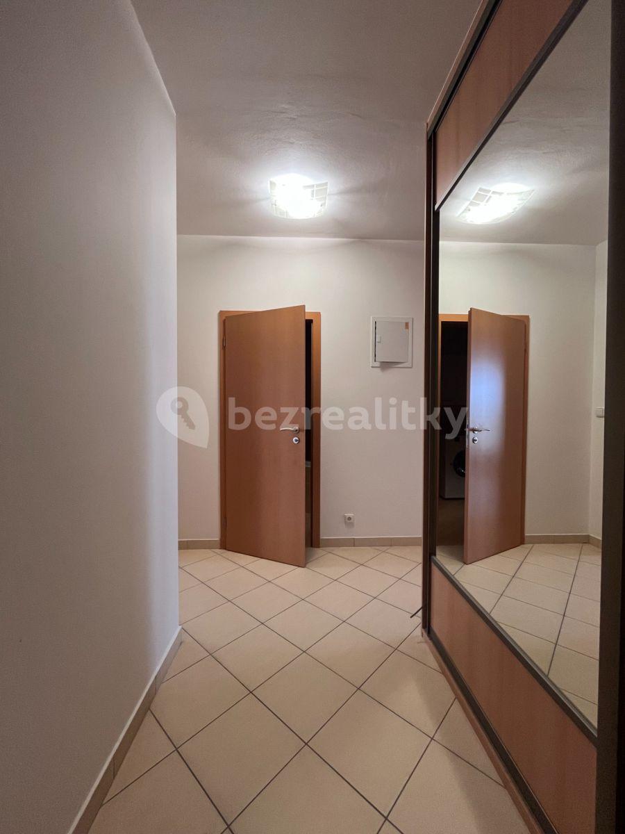 1 bedroom with open-plan kitchen flat to rent, 51 m², Míšovická, Prague, Prague